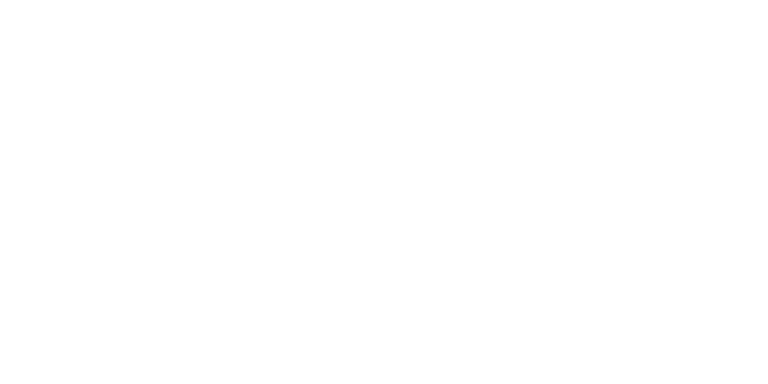 Digital Marketing Agency Gold Coast White Dwarf Marketing Logo